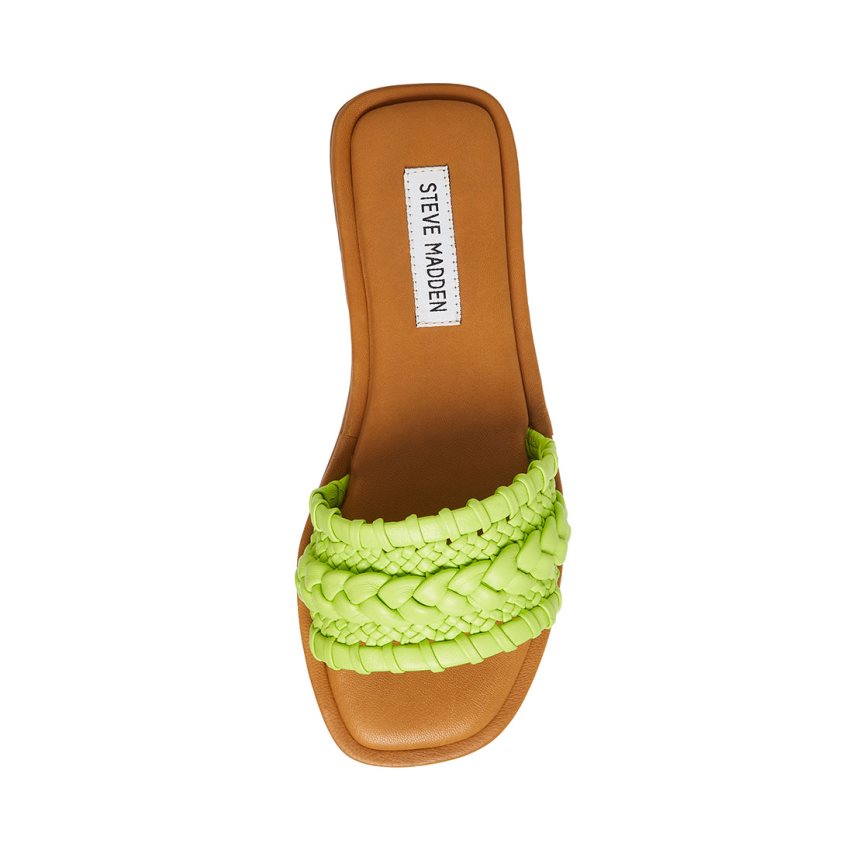 Green Steve Madden Genevie Women's Slides | PH 6127LGV